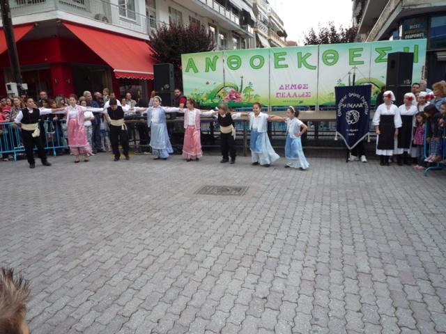 Ανθοέκθεση 2013